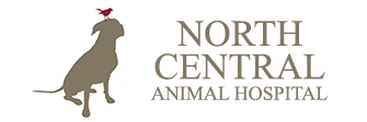 North Central Animal Hospital