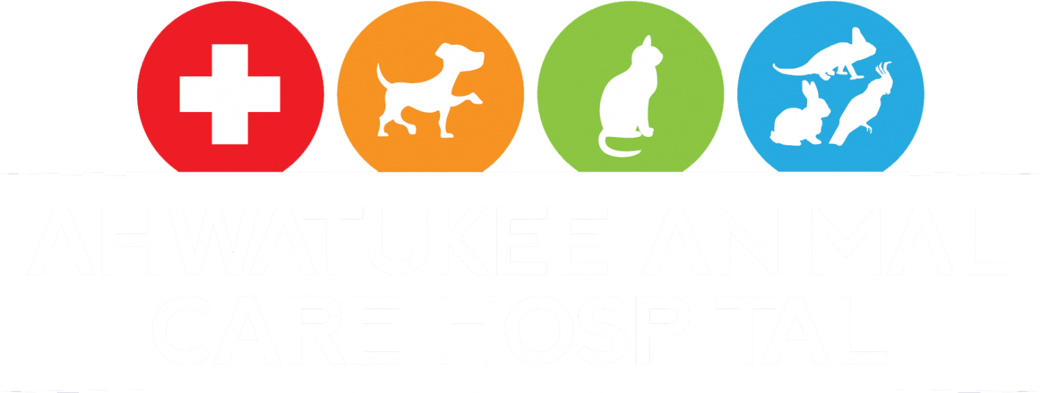 Ahwatukee Animal Care Hospital and Pet Resort